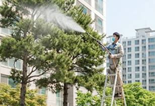 나무병원